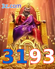 3193